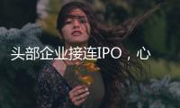 头部企业接连IPO，心脏瓣膜行业为何这么热�？