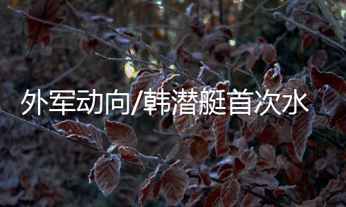 外军总数也是动向道导弹9艘