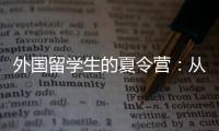 快排公司十年历程，霸屏兔 seo 的崛起与坚守