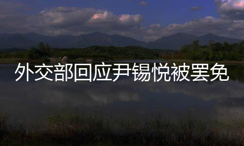 外交部举行例行记者会