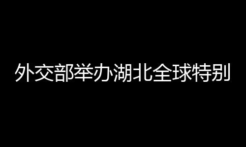 球特湖北省省长王晓东