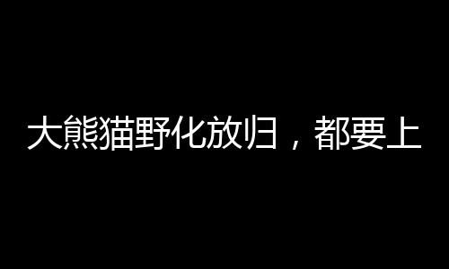 从高处摔落重伤致死