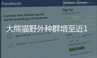 快排公司十年历程，霸屏兔 seo 的崛起与坚守