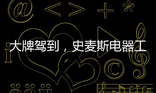 本次由史麦斯总部发起