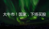 大牛市
！国家，下场买股票