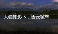 大疆如影 S，智云微毕S怎么样?