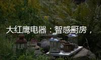 大红鹰电器：智感厨房，智慧非凡，解锁智能新生活