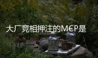 快排公司十年历程，霸屏兔 seo 的崛起与坚守