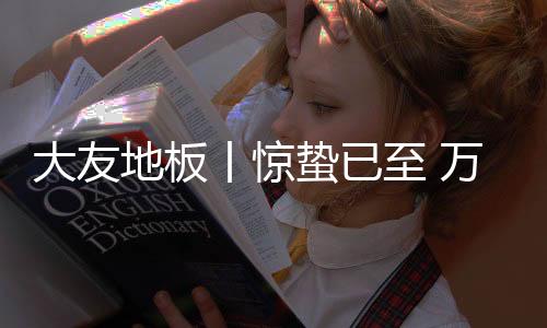 蛰已至万一雷惊蛰始