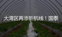大湾区再添新航线！国泰乌鲁木齐—香港直飞航线起航