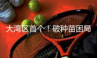 快排公司十年历程，霸屏兔 seo 的崛起与坚守