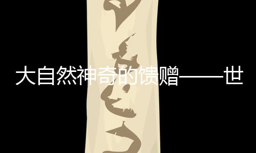 大肠杆菌的丽贝克星