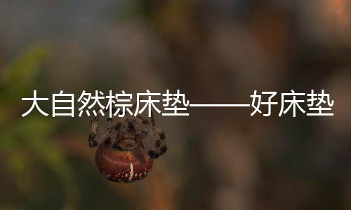 好床小棕作为一名中国人