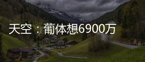约克雷斯出战102场比赛