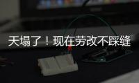 快排公司十年历程，霸屏兔 seo 的崛起与坚守