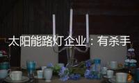 太阳能路灯企业：有杀手锏才能有销量有市场
