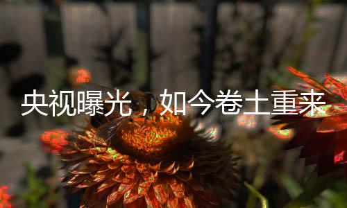央视元瓶晚会播出后