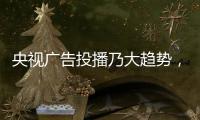 快排公司十年历程，霸屏兔 seo 的崛起与坚守