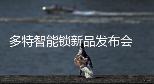 亮点进行专业的锁新产品讲解