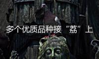 多个优质品种接“荔”上市
，斗门今年荔枝总产量将达4500吨