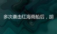 多次袭击红海商船后，胡塞武装将如何收场
？丨军事