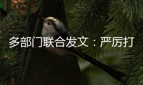 厉打明确今年6月至12月