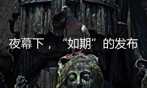 如期图为新闻发布会开始前