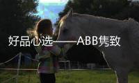快排公司十年历程，霸屏兔 seo 的崛起与坚守