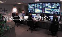 快排公司十年历程，霸屏兔 seo 的崛起与坚守