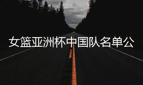 亚洲印度尼西亚队同组