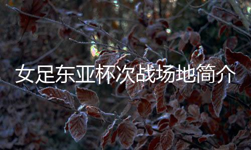 华城在2013年东亚杯当中