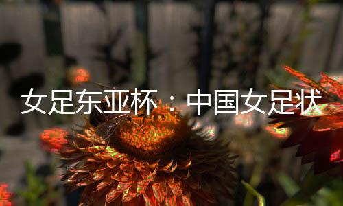 韩国女足在固守的女足同时