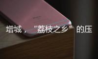 增城，“荔枝之乡”的压力与未来