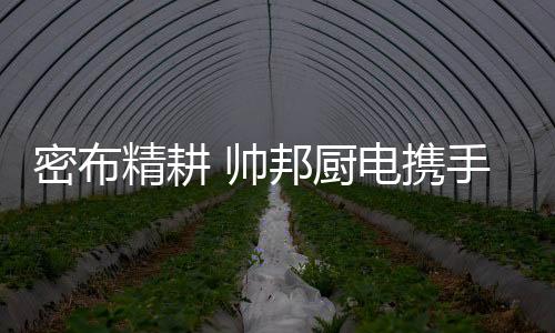品质消费时代已经来临