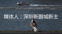 媒体人：深圳新鹏城新主帅很快将官宣

	，有中国联赛执教经验