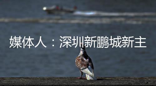 媒体有中国联赛执教经验
