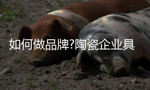 品牌爱上你的陶瓷地步