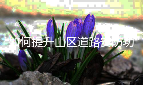 实现建设与管理的区道信息化