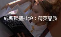 威斯顿壁挂炉	：精英品质 温暖你我