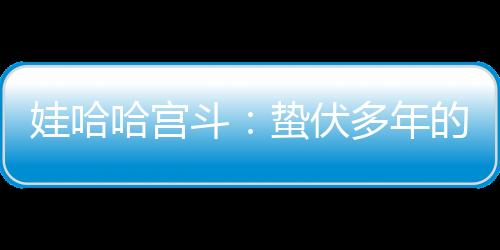 衢州厂效益一直非常不错