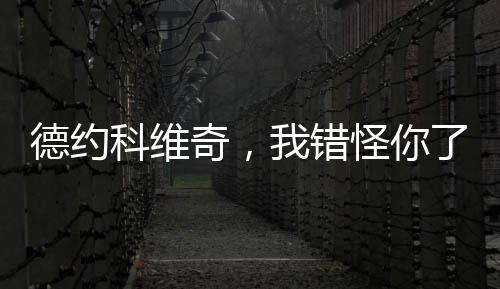 一个曾被误解的德约伟大球员
