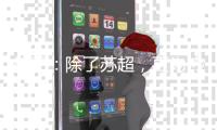 徐工：除了苏超
，更为热爱→苏皖鲁豫4省10市高手云集彭城