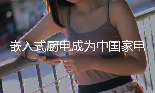 为中洗碗机增长最高近年来
