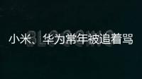 小米、华为常年被追着骂	？前魅族高管李楠撕了车圈的遮羞布！