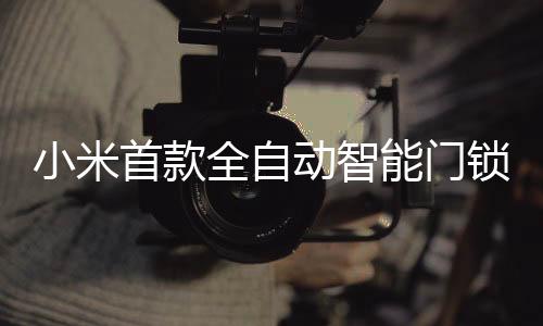 首款锁相比全自动智能锁