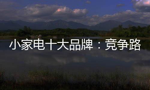 在小家电的竞争生产过程中