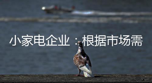 目前许多小家电企业