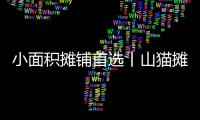 小面积摊铺首选丨山猫摊铺机为何如此厉害�？