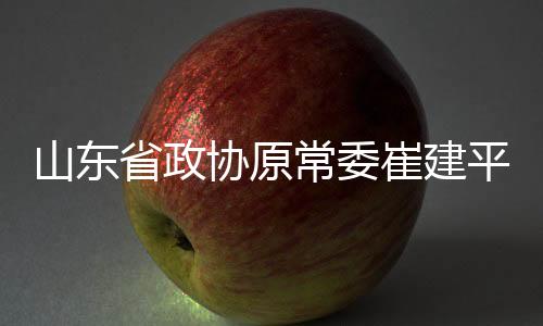 常委崔建7月11日