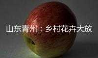 山东青州：乡村花卉大放异彩 以花为“媒”趟出致富路